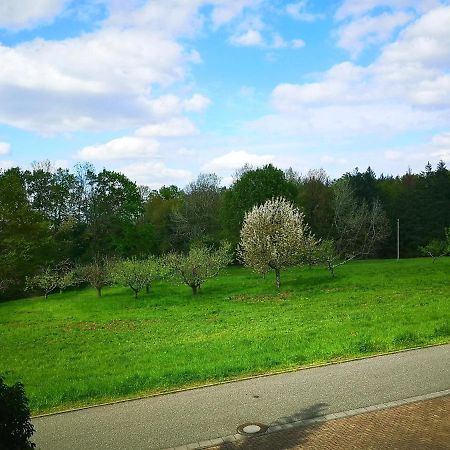 Ein Appartement Und Ein Komfortzimmer In Malsch, Zwischen Karlsruhe, Rastatt Und Baden-Baden Malsch  Экстерьер фото