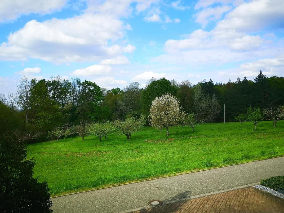 Ein Appartement Und Ein Komfortzimmer In Malsch, Zwischen Karlsruhe, Rastatt Und Baden-Baden Malsch  Экстерьер фото